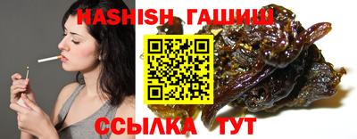 шишки Можга