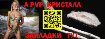 шишки Можга