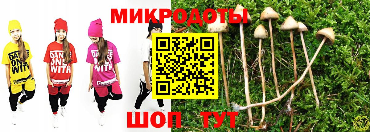 Галлюциногенные грибы прущие грибы Шебекино