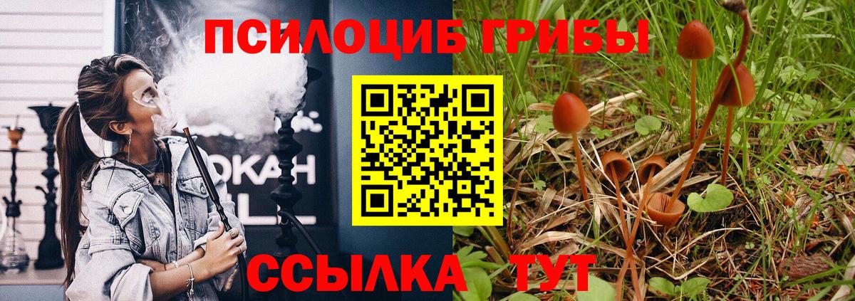 Псилоцибиновые грибы MAGIC MUSHROOMS  Галлюциногенные грибы Psilocybe  Шебекино  Вход с VPN 